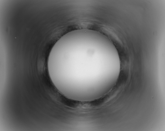 X0000092060599200709262029