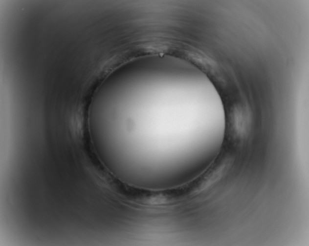 X0000092060600200709262029