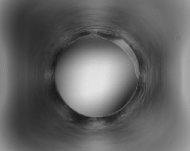 X0000092060601200709262029