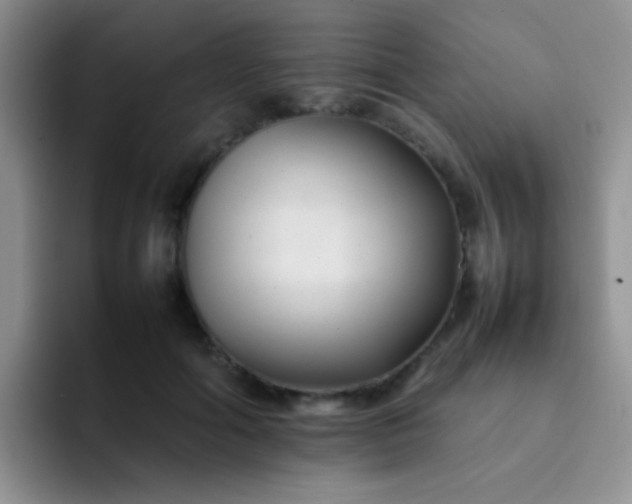 X0000092060602200709262029