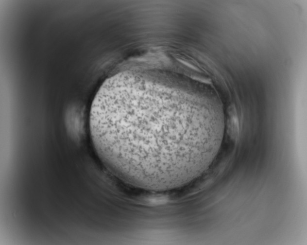 X0000092060604200709262029