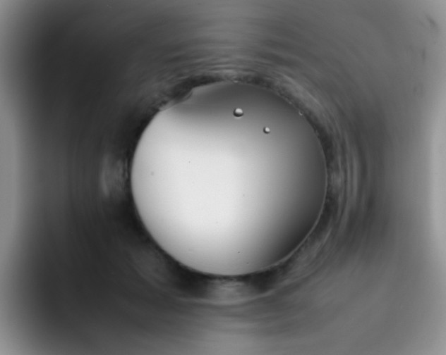 X0000092060605200709262029