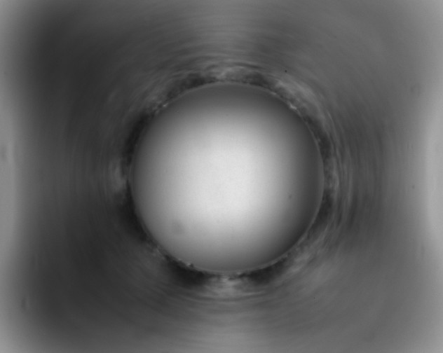 X0000092060607200709262029