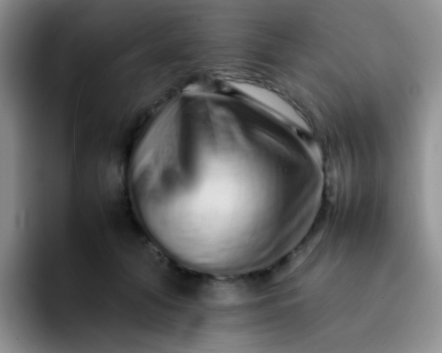 X0000092060608200709262029