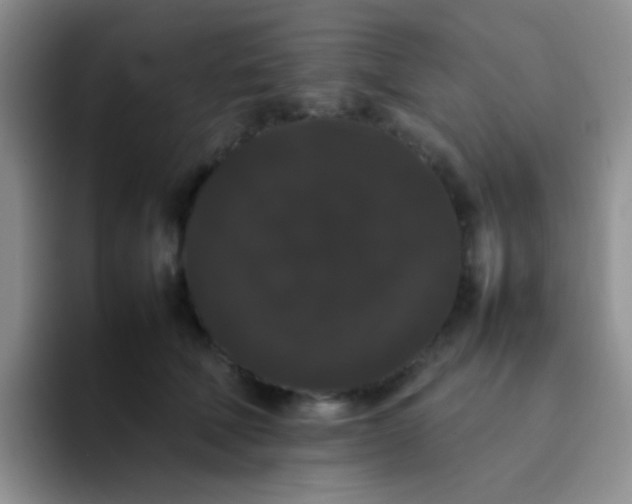 X0000092060610200709262029