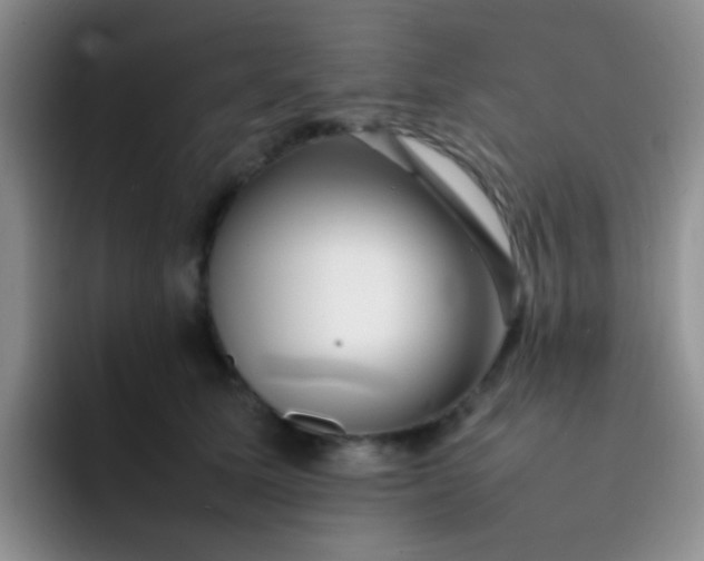 X0000092060611200709262029