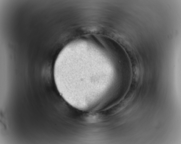 X0000092060612200709262029