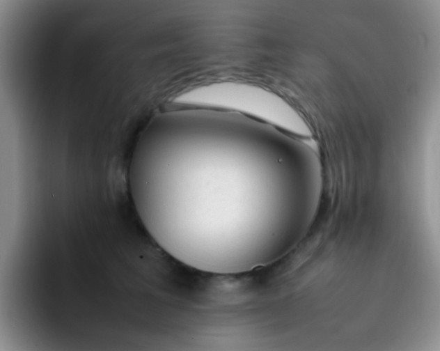 X0000092060613200709262029