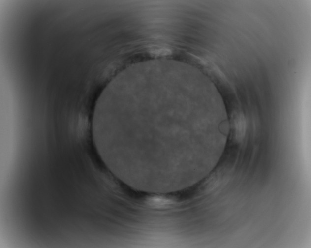 X0000092060614200709262029