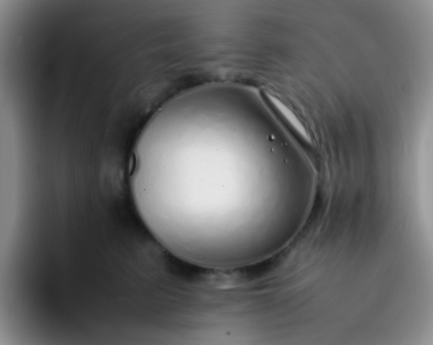 X0000092060615200709262029