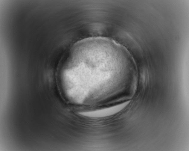 X0000092060616200709262029