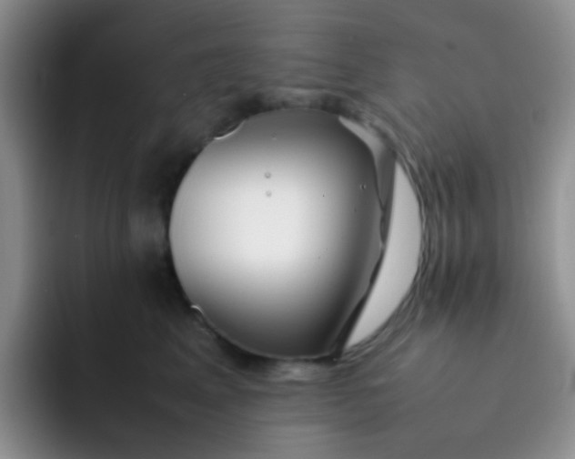 X0000092060617200709262029