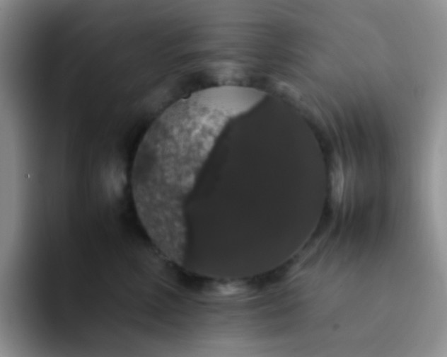 X0000092060618200709262029