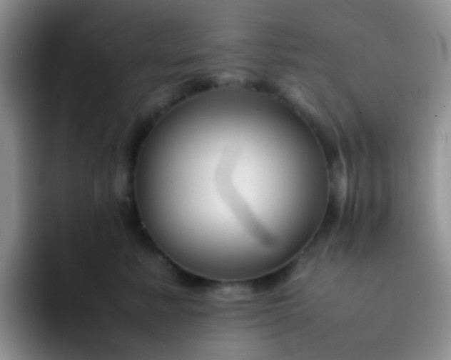 X0000092060619200709262029