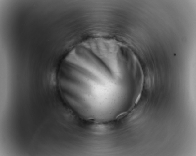 X0000092060620200709262029