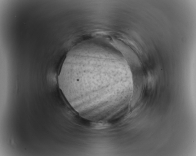 X0000092060621200709262029