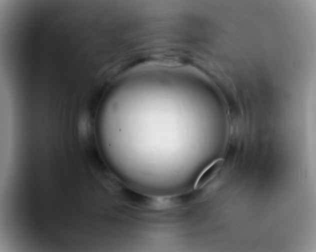 X0000092060623200709262029