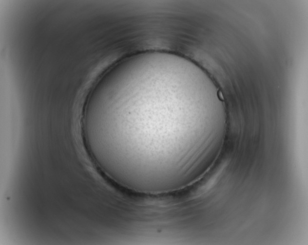 X0000092060625200709262028