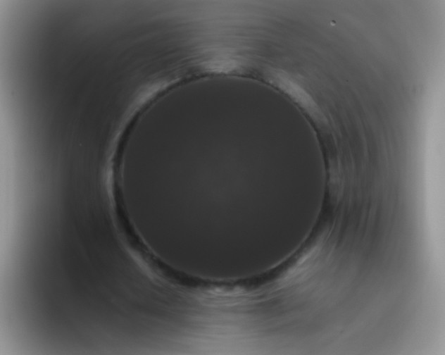 X0000092060626200709262028