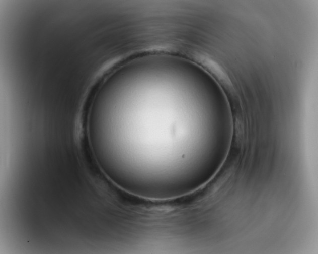 X0000092060628200709262028