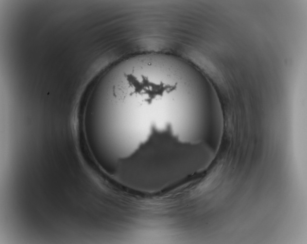 X0000092060630200709262028