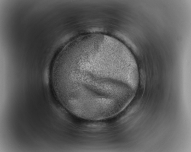 X0000092060631200709262028