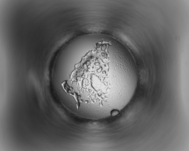 X0000092060634200709262028