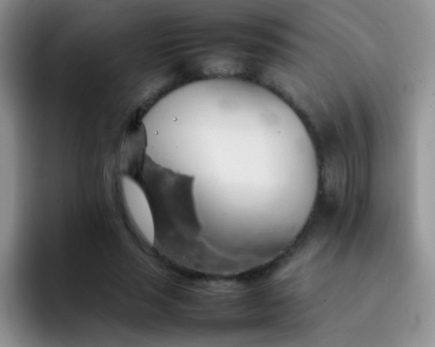 X0000092060637200709262028