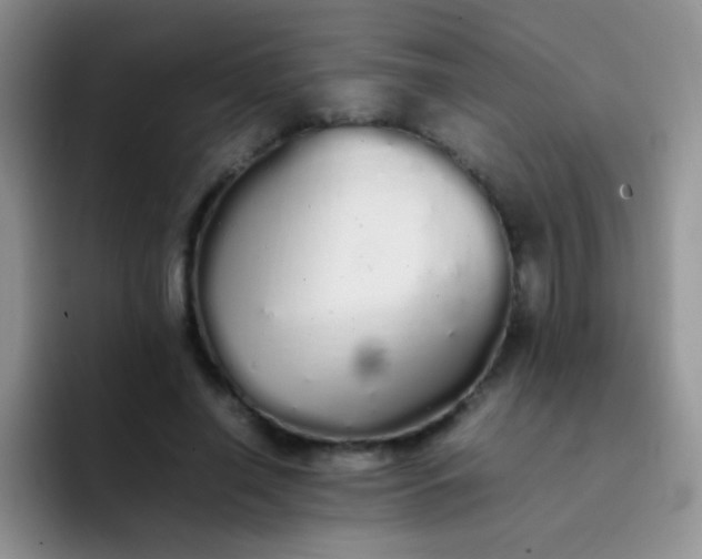 X0000092060638200709262028