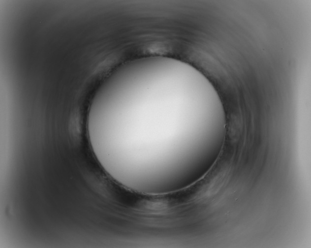 X0000092060639200709262028