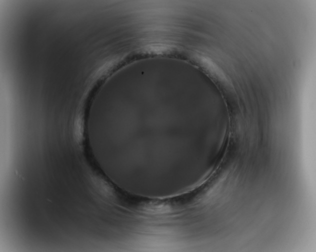 X0000092060640200709262028