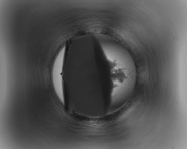 X0000092060641200709262028