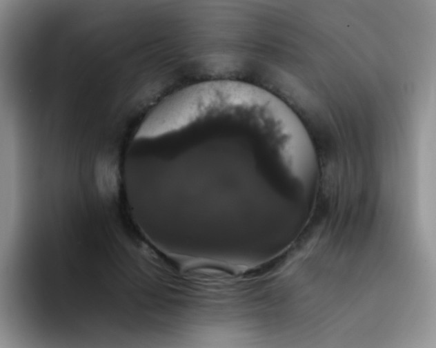 X0000092060644200709262028