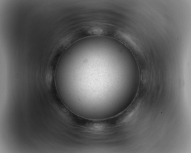 X0000092060645200709262028