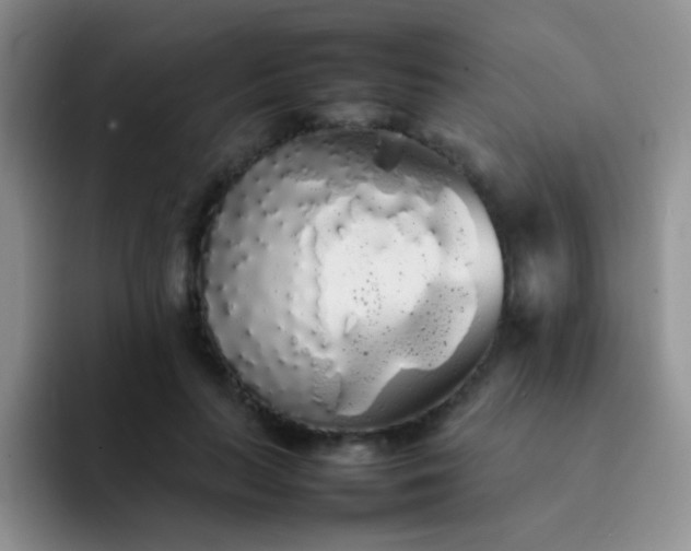 X0000092060647200709262028