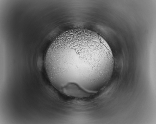 X0000092060648200709262028