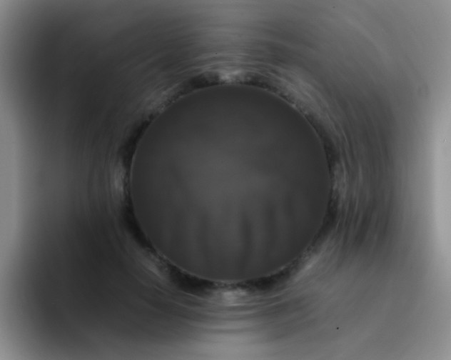 X0000092060650200709262028