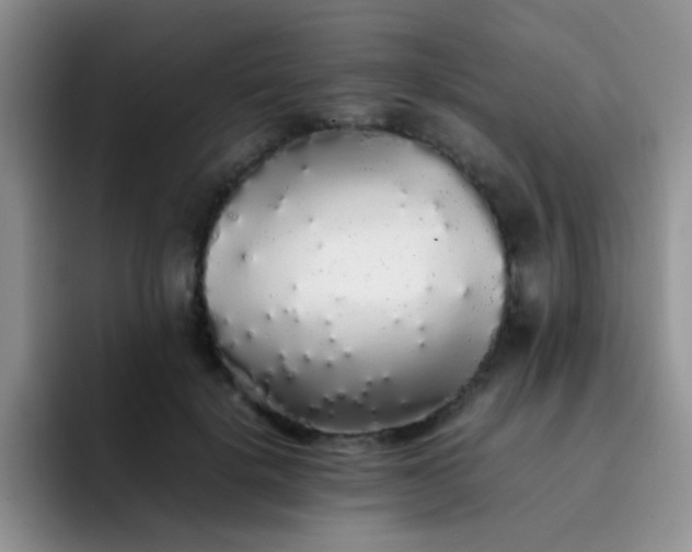 X0000092060652200709262028