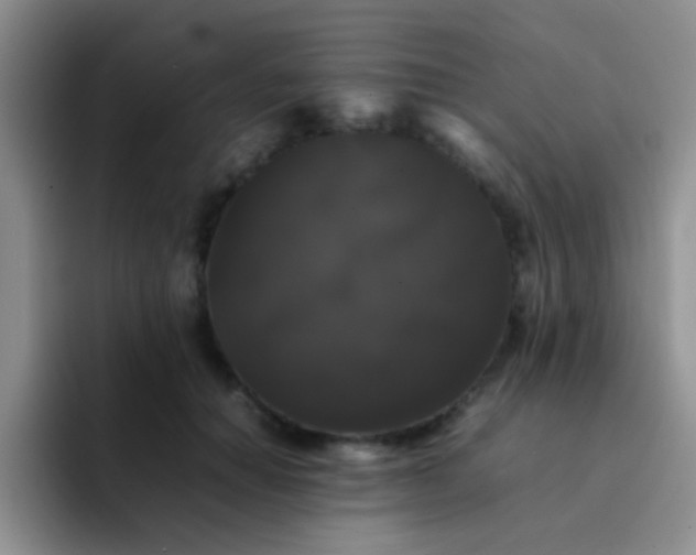 X0000092060654200709262028