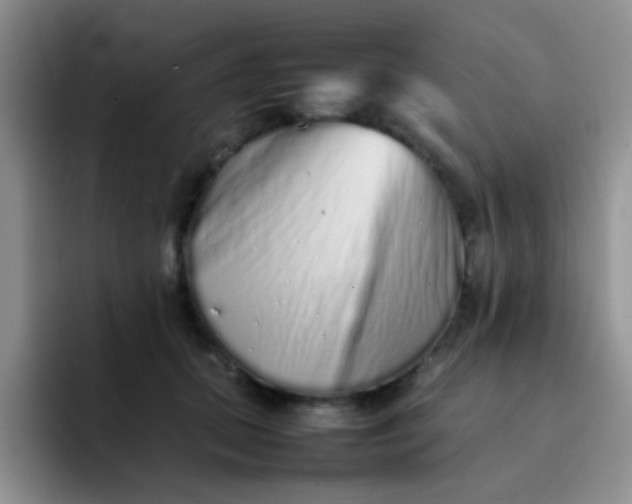 X0000092060655200709262028