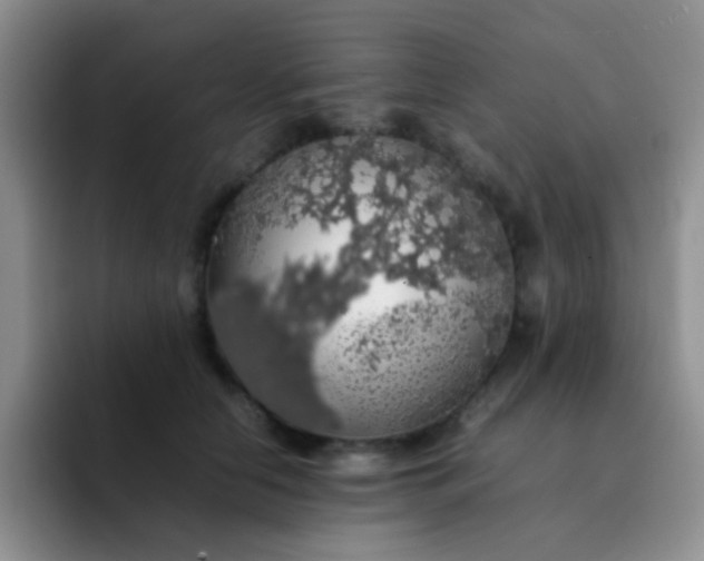 X0000092060658200709262029