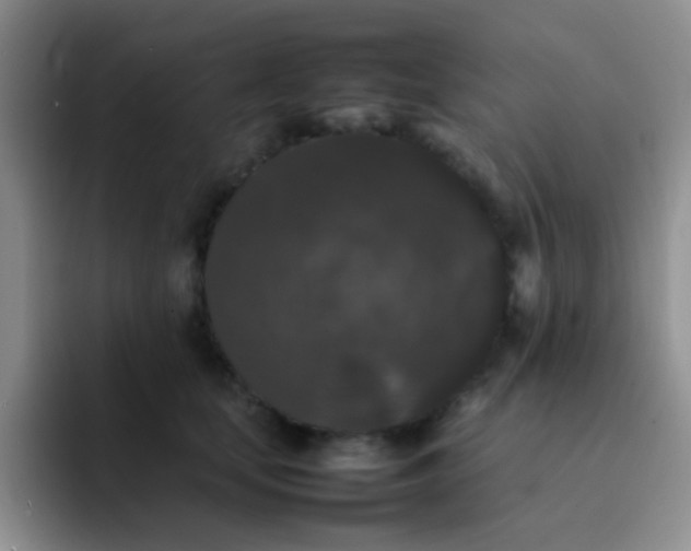 X0000092060659200709262029