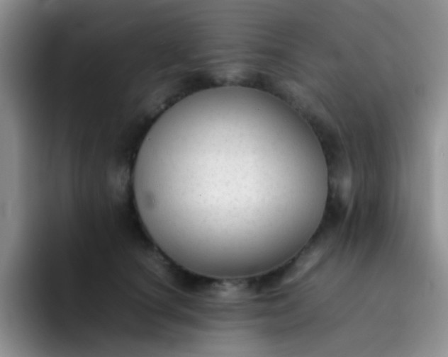 X0000092060660200709262029