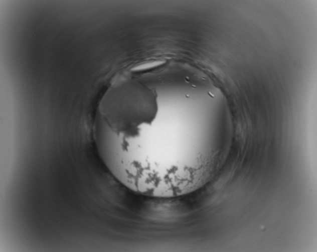 X0000092060661200709262029