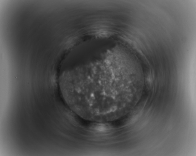 X0000092060663200709262029