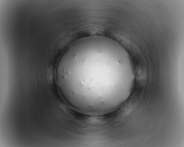 X0000092060664200709262029