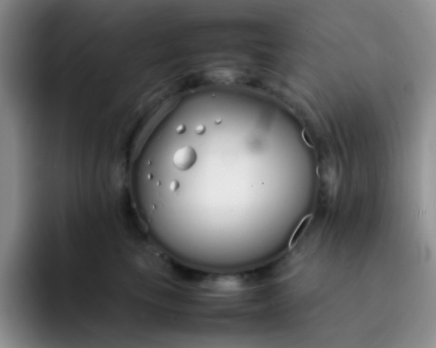 X0000092060665200709262029