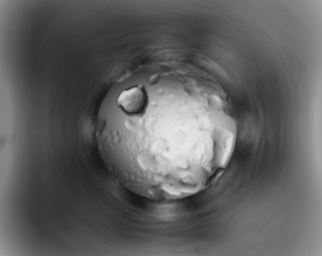 X0000092060669200709262029