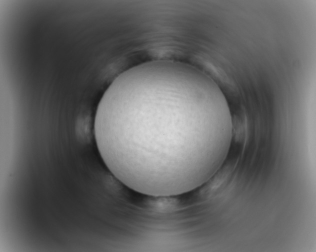 X0000092060670200709262029