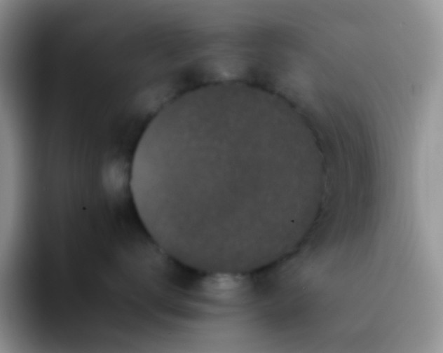 X0000092060672200709262029